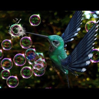 frapink1's profile picture. 