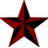 The red star