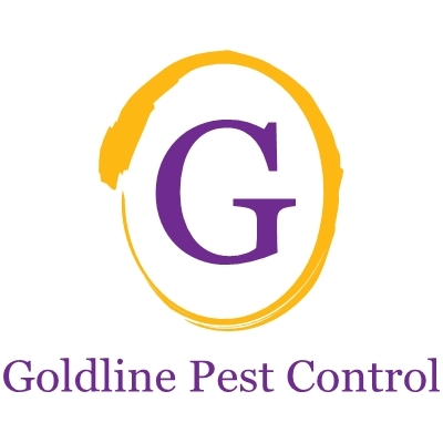 Pest control Norfolk
http://t.co/uGWArWMAxL