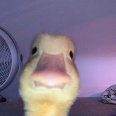 spierdalaj08's profile picture. 