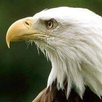 منير بن عطاف (@at1af) 's Twitter Profile