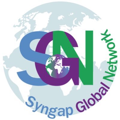 SyngapNetwork Profile Picture