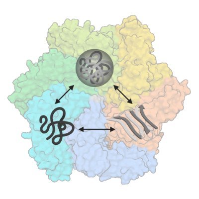 We are a group of scientists @Penn working to combat protein misfolding as a way to understand and treat neurodegenerative diseases. (student run)