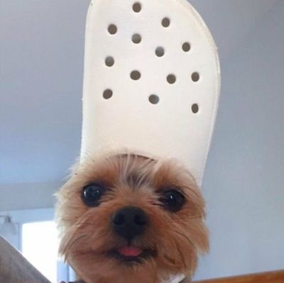 Manin0_'s profile picture. 