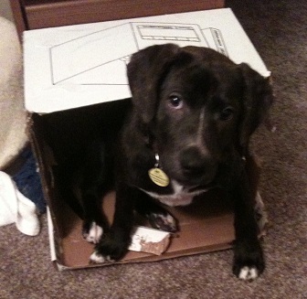 possibility42's profile picture. 