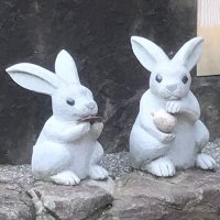いちごいちえ (@_151en) 's Twitter Profile