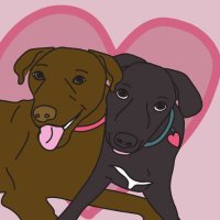 Smiles and Wagging Tails(@SmilesTails) 's Twitter Profile Photo