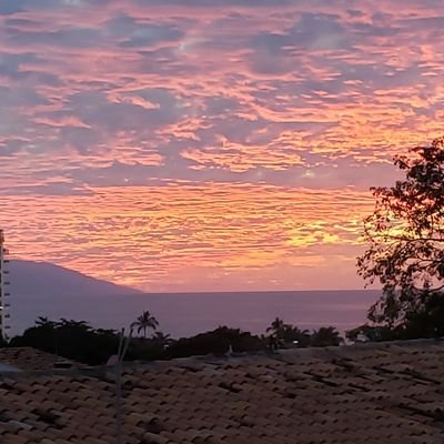 BenjaminLacy5's profile picture. 