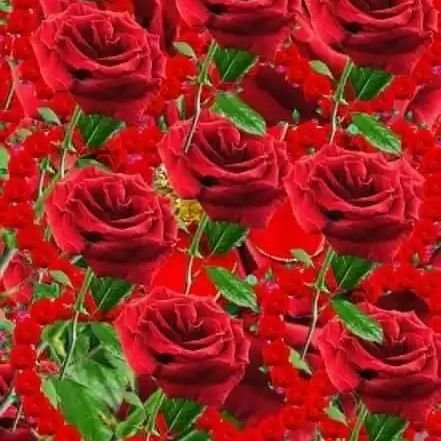 MdAbdullahMiya2's profile picture. Md Abdullah Miya