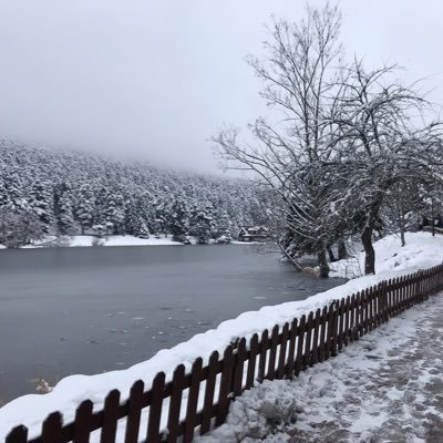 ismailsoykann's profile picture. 