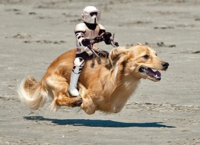 novopaulistano's profile picture. 