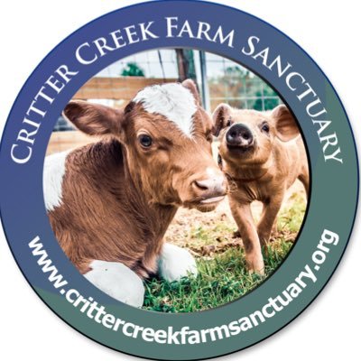 🐮|501(c)3 Largest US Cow #Sanctuary
🌎|Gainesville, FL
🐶|Founder @erinamerman
💌|Please support our Patreon 
https://t.co/W4BIpTfayM
#vegan