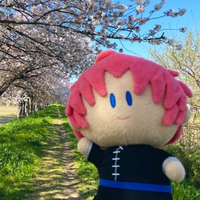 61kmi84's profile picture. 