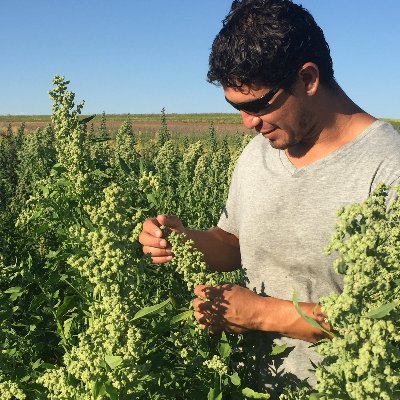 Agronomist with a PhD in Crop Science @WSU. Passionate for sustainable agriculture #quinoa