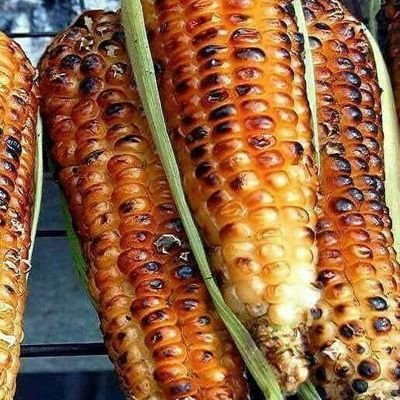 Trapita4's profile picture. organizarme