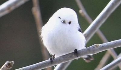 studytips_07's profile picture. 공부계보다는..공부 정보, 팁 모으러 온 구독러로 생각해주세요
도저히 인증이나 그런걸 못하겠어요😂😂