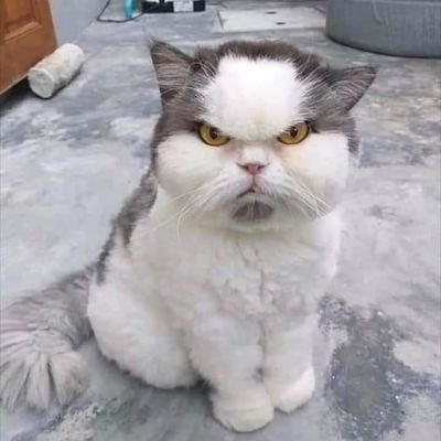 parejitaswger's profile picture. nuevos en el ambiente