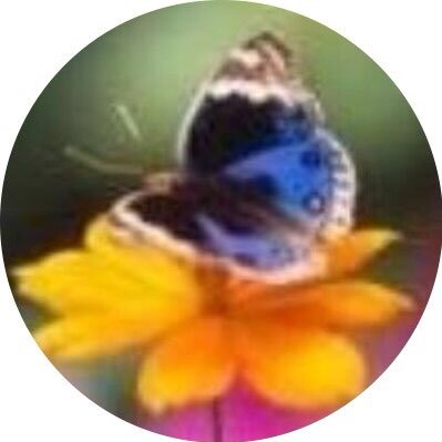 Justedelinfoさんのプロフィール画像