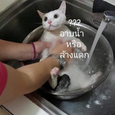เราจะกินทุกอย่างที่ขวางหน้าค่ะ ถ้าใครมาห้ามเราจะกินเขาเข้าไปด้วย!?/ทวิตเรื่อยเปื่อย เล่นเกม
