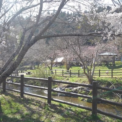 SUZU31983886's profile picture. 多趣味です。
特に料理とバイク、プラモデル作りが好きです。