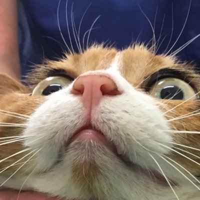 ポッチさんのプロフィール画像