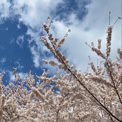 LJKによるイラストさんのプロフィール画像