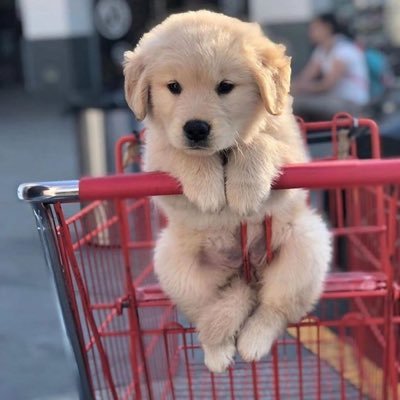 amc0151's profile picture. 