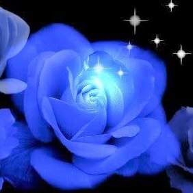 Akitty Rip Taiji Tomorrow Is Another Day スカーレット オハラの名言 ですね 今どんな苦境にあっても 明日になれば物事はいい方向に転じるもの 全てを失い 愛する人までも失って それでもなお前向きなスカーレットってたくましくてカッコイイ女性だ
