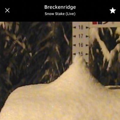 ducati_motogp's profile picture. abstract mathematical nonsense