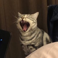Easy Breezy (@easybreezy982) 's Twitter Profile