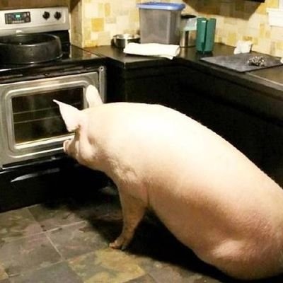 lttzsn's profile picture. 呆