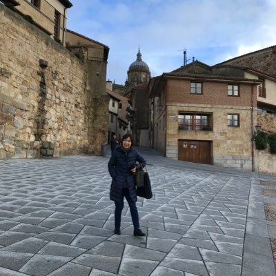 NaomiTomoya's profile picture. 2000-2005までMadridに滞在🇪🇸スペインの風景画を主に製作-2023年グラナダの夜景により第一美術協会準会員&人間ウォッチング好き❤️
