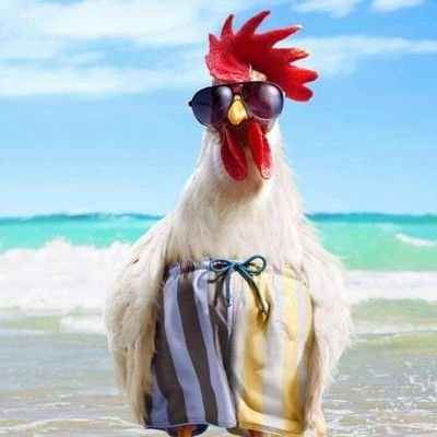 tile_machos's profile picture. 
