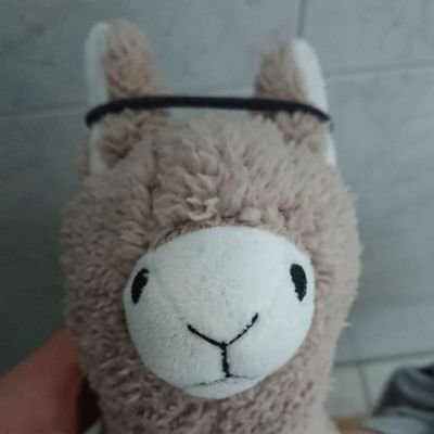 trocken_pflanze's profile picture. professioneller Tafellappen / so möglichst wie wenig / höre Antischlager / #gelbeKreide /#ichstudierebau / 🌱