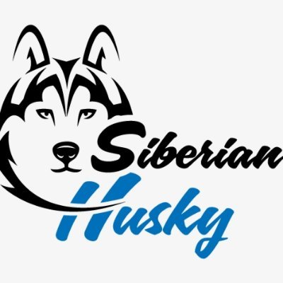 husky_community Profile Picture