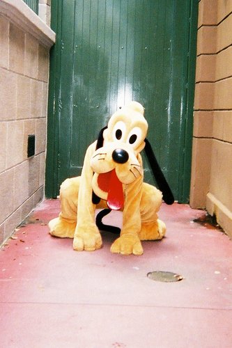 HeidiGruca's profile picture. 