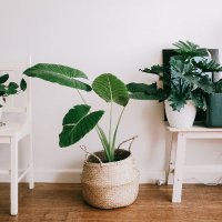 Interior Design Blog (@the_home_decor) Twitter profile photo