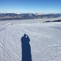 Tomas Kouba (@tm_kouba) 's Twitter Profile