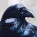 The Raven of Stone (@theravenofstone) Twitter profile photo The Raven of Stone (@theravenofstone) Twitter profile photo