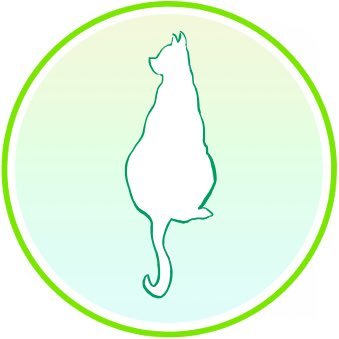 きまじめソラの英語部屋 Sora Funenglish Twitter きまじめソラの英語部屋 Sora Funenglish Twitter