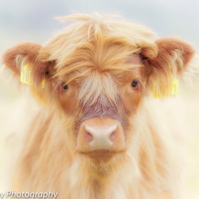 StuartLilleyPh1's profile picture. 