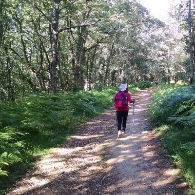 Profesora, aprendiz del mundo, afortunada de tener tres pilares que me sostienen siempre: Dios, mi familia y cuanto me ha enseñado la vida.
Jarocha de corazón