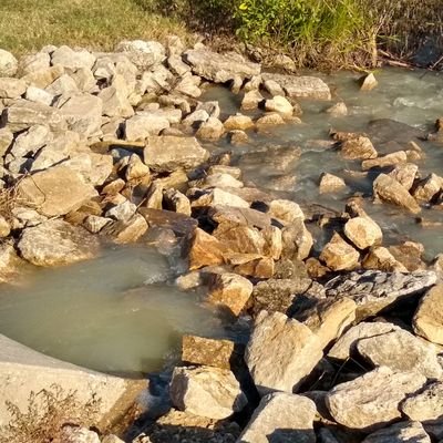 luvsillyllama's profile picture. 