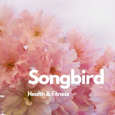 Songbird Health & Fitness is dedicated to bringing you the latest ideas and products that can help you maintain a #healthy level of #fitness & #lifestyle.