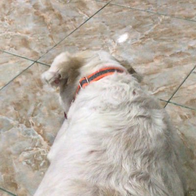wws112233's profile picture. 