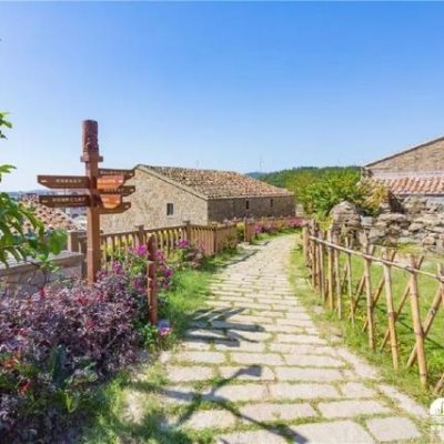 PTAustronesian's profile picture. Pingtan International Institute for Austronesian Research