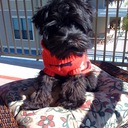 Paula Jo Pierce - @HUGtheworld - Twitter