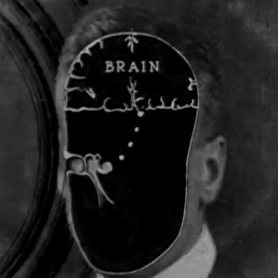 Language/s, linguistics, CxG, brain 🧠, theatre 🎭, poetry & books. ÚJČ @akademie_ved_cr & @FF_CUNI.