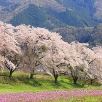 ぎん (@ginn1925) 's Twitter Profile