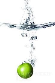 shoeci's profile picture. Earn Cash Everyday FREE  Automated Software